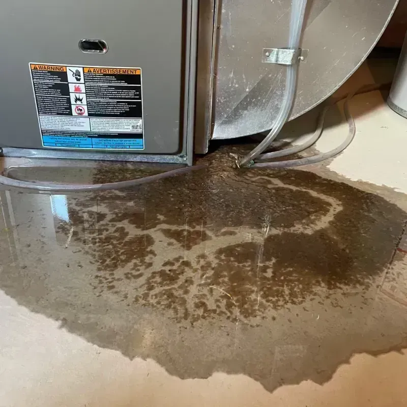 Appliance Leak Cleanup in Dodge County, WI